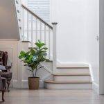 coogee 3-100 A small, modern staircase with white railings and wooden steps leads upward. A green potted plant sits at the bottom of the stairs, and part of a sofa is visible on the left. The space is bright and minimalistic.